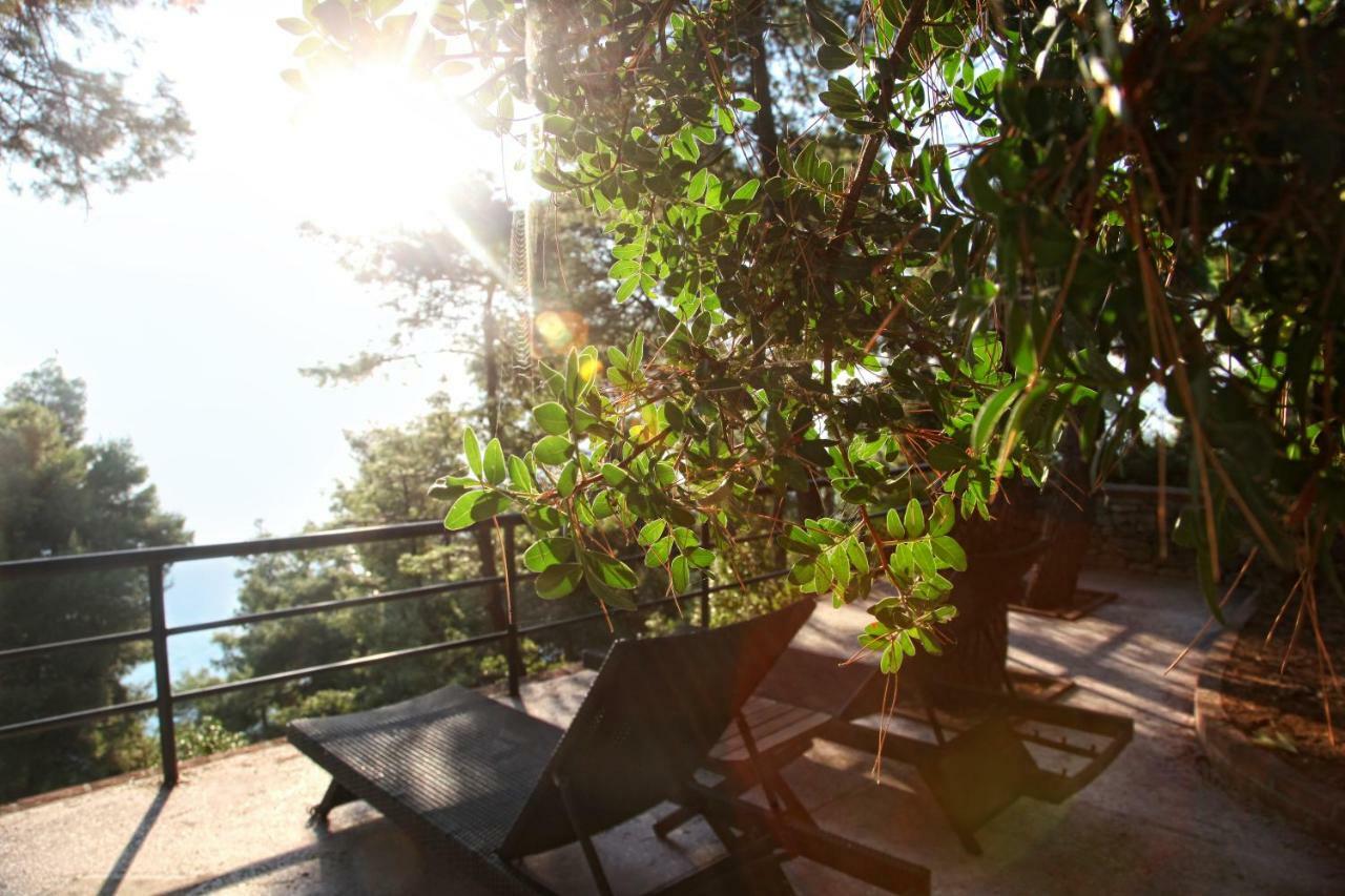 Nostos Hotel アフィトス エクステリア 写真